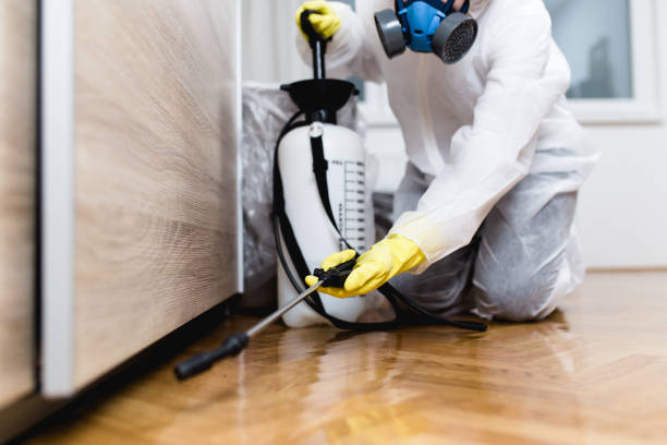Best Flea Control Services  in Chester, MD
