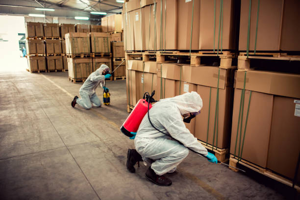 Best Best Pest Control Companies  in Chester, MD