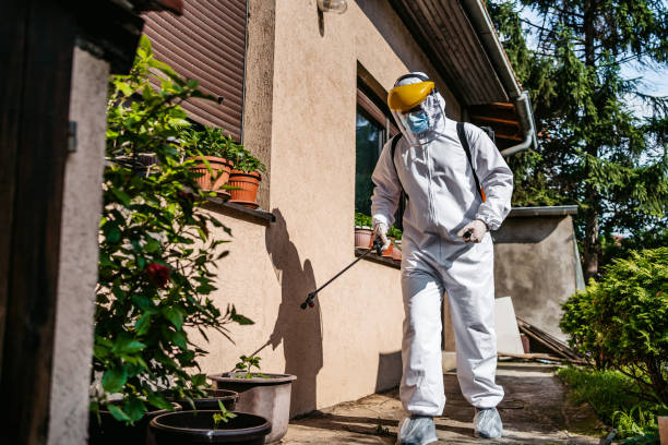 Best Best Pest Control Companies  in Chester, MD