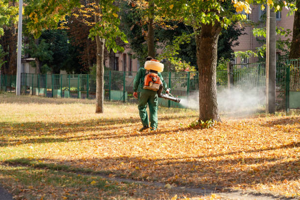 Best Pest Control Near Me in Chester, MD