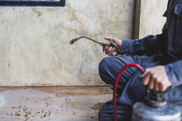 Best Emergency Pest Control  in Chester, MD