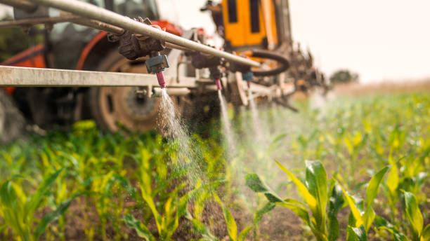 Best Commercial Pest Control Services  in Chester, MD